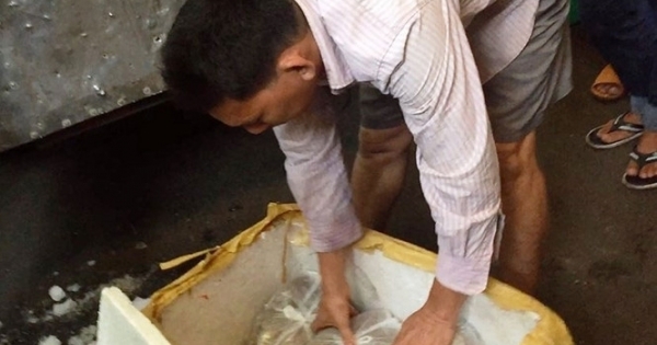 Sản xuất chả cá chứa formol, hàn the đưa về Sài Gòn tiêu thụ