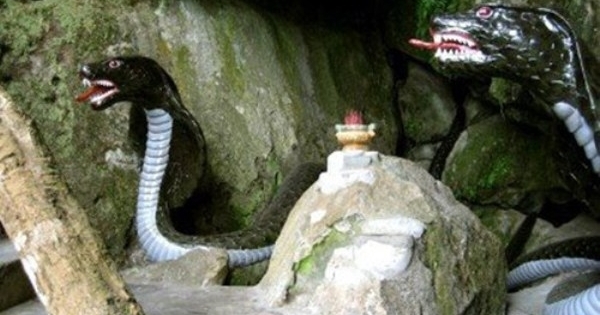 Giải mã biểu tượng văn hóa phần 8: Hình tượng rắn trong tín ngưỡng người Việt