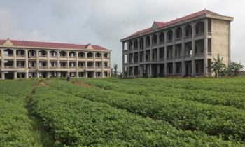 Ninh Bình: Trường học gần 30 tỷ bỏ hoang giữa cánh đồng