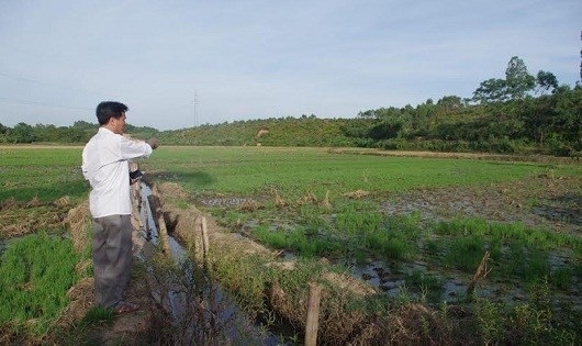 Việt Trì (Phú Thọ): Nhà máy phế thải “bức tử” môi trường