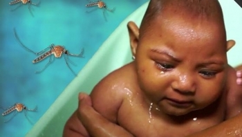 Phát hiện đáng báo động: Thêm đường lây truyền của dịch virus Zika