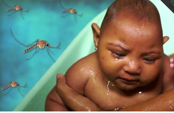 Hiện virus Zika tấn c&ocirc;ng nhiều nước tr&ecirc;n thế giới. Ảnh minh họa