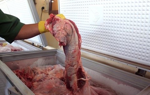 ‘Phù phép’ thịt lợn thành đặc sản thú rừng bằng hóa chất