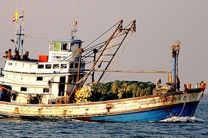Nhiều tàu cá ở Cà Mau xin rút khỏi danh sách hỗ trợ