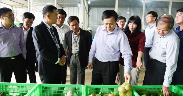 Phó Thủ tướng Vương Đình Huệ thăm và làm việc tại Lâm Đồng