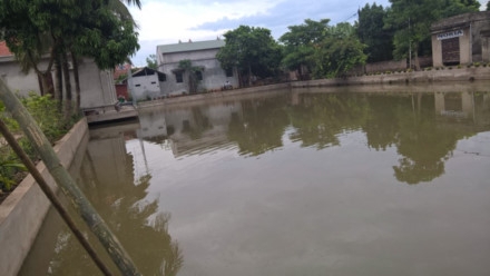 Hà Nội: Nạn nhân thứ 5 trong vụ đuối nước thương tâm ở ao làng đã tử vong