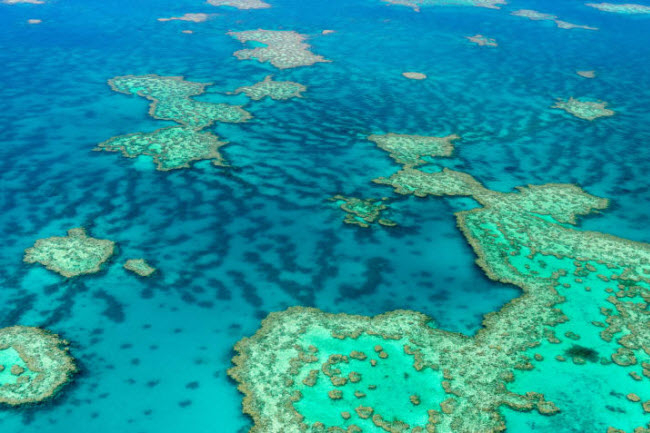 Rạn san h&ocirc; Great Barrier, Australia: Hơn 1.500 lo&agrave;i c&aacute; sinh sống tại hệ thống rạn san h&ocirc; lớn nhất thế giới n&agrave;y.