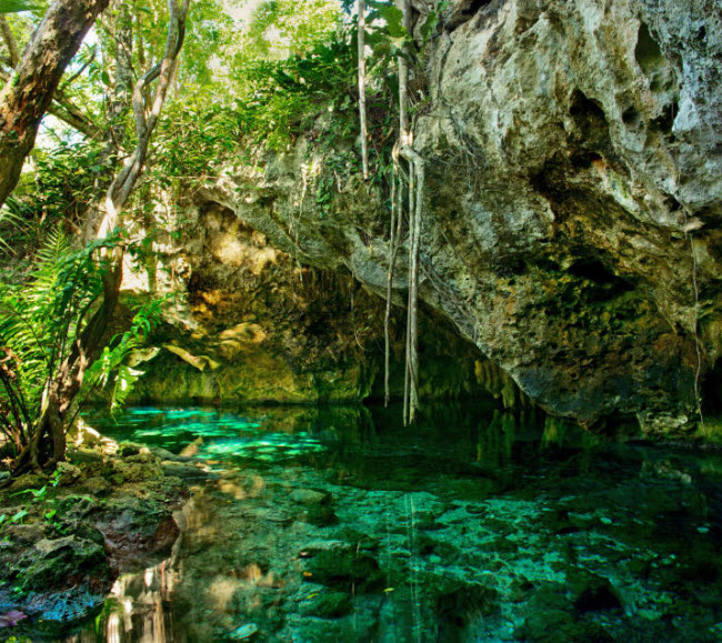 Hang ngầm Cenotes, Mexico: Hệ thống hang động ngầm nằm ẩn s&acirc;u trong rừng tr&ecirc;n b&aacute;n đảo Yucat&aacute;n.