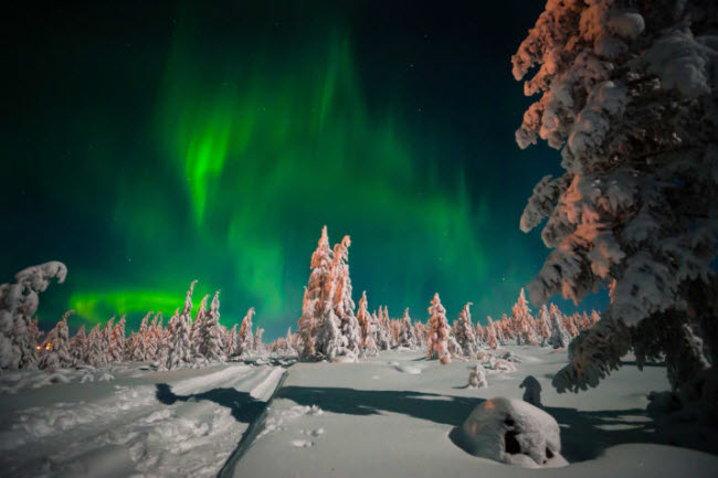 Lapland, Phần Lan: Nếu tới đ&acirc;y v&agrave;o thời gian từ th&aacute;ng 10 năm trước tới th&aacute;ng 3 năm sau, bạn c&oacute; thể may mắn thấy được &aacute;nh s&aacute;ng bắc cực quang kỳ ảo tr&ecirc;n bầu trời.