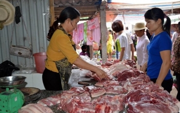 Lợn hơi tăng giá - người chăn nuôi nên thận trọng