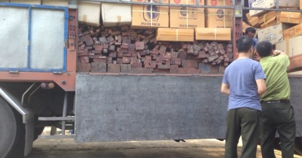 Thanh Hóa: Bắt giữ 6m3 gỗ quý không giấy tờ vận chuyển