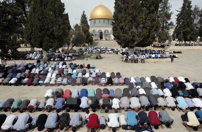 C&aacute;c t&iacute;n đồ Hồi gi&aacute;o Palestine cầu nguyện tại đền Al-Aqsa.