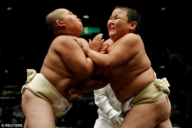 H&agrave;ng trăm trẻ em đ&atilde; đăng k&yacute; tham gia cuộc thi đấu vật sumo - một bộ m&ocirc;n thể thao truyền thống của Nhật Bản. (Ảnh: Reuters)