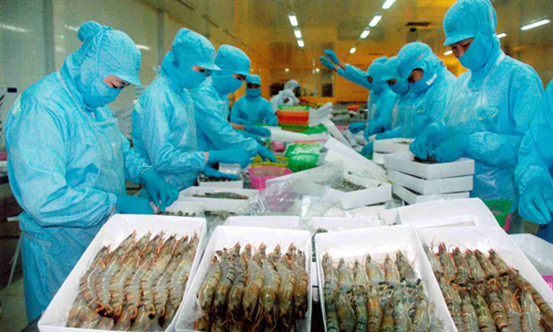 T&ocirc;m vẫn l&agrave; mặt h&agrave;ng thuỷ sản xuất khẩu mạnh nhất của Việt Nam.