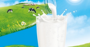 Mách nhỏ các mẹ cách tìm “quy chuẩn sữa tươi”