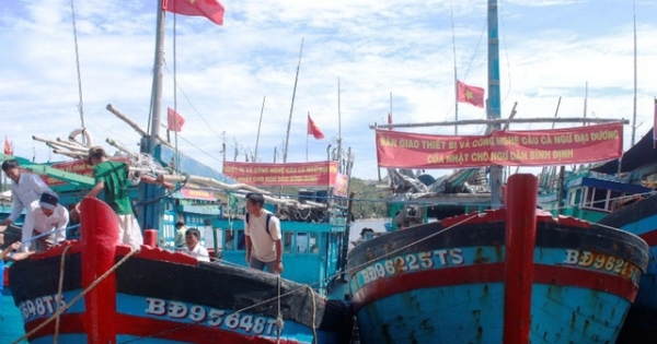 Lộ sai sót rất nghiêm trọng trước đoàn thanh tra EC, Ban quản lý cảng Qui Nhơn bị kiểm điểm