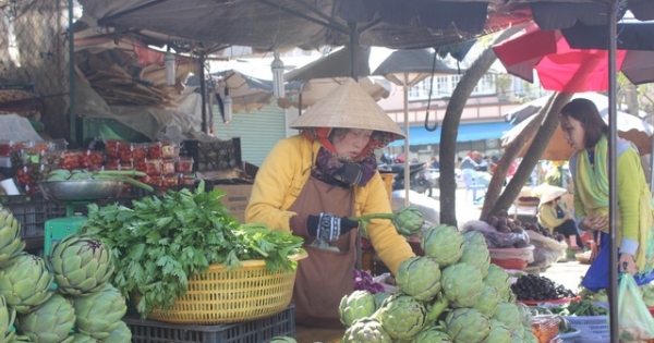 Lâm Đồng:  Mưa lớn kéo dài, rau củ Đà Lạt tăng giá chóng mặt