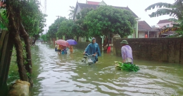 Nghệ An: Quốc lộ ngập sâu đến 1m, nhiều địa phương bị chia cắt, cô lập trong nước lũ