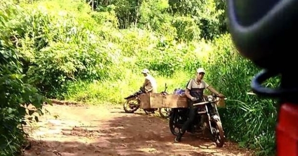 Xe chở gỗ ngang nhiên qua trạm kiểm soát lâm sản, rừng Mang Yang tiếp tục bị tàn phá