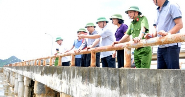 Bộ trưởng Nguyễn Xuân Cường kiểm tra tình hình mưa lũ tại Ninh Bình