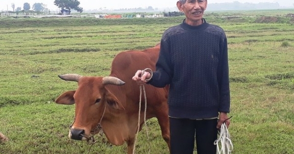 Thanh Hóa: Kiểm điểm Chủ tịch xã vụ bắt trâu bò “cõng” phí gặm cỏ