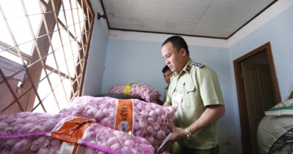 Lâm Đồng: Thu giữ gần 4 tấn cà rốt và 2 tạ tỏi Trung Quốc nhập lậu