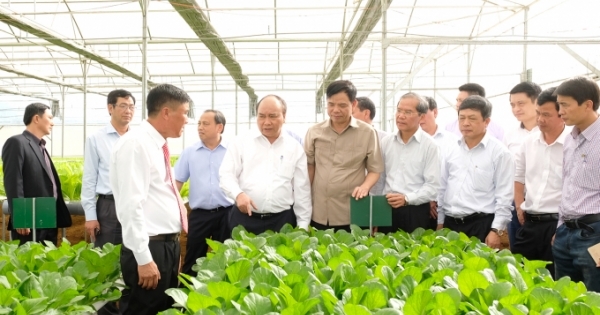 Chùm ảnh - Thủ tướng Nguyễn Xuân Phúc thăm mô hình nông nghiệp sạch tại Lâm Đồng