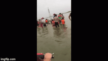 Clip: Người dân nườm nượp mang phao ra tắm ở Tỉnh lộ bị ngập nước