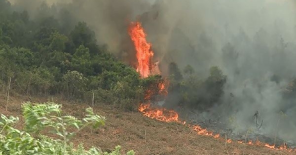 Cháy rừng dữ dội ở Quảng Bình, gần 500 người dồn sức dập lửa