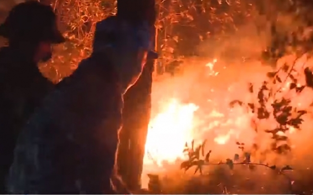 Video: Hàng ngàn người trắng đêm chiến đấu với cháy rừng ở Hà Tĩnh