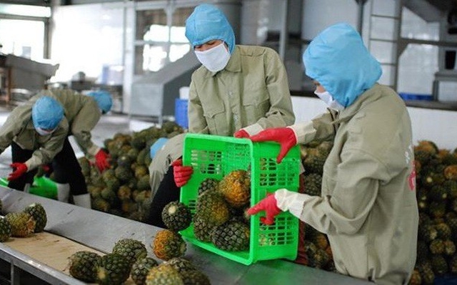EVFTA thách thức nông sản Việt Nam