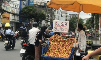 ‘Gắn mác’ đào Sapa đào Trung Quốc bán la liệt tại Sài Gòn