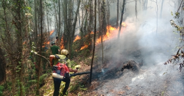 Hà Tĩnh: Hàng trăm người nỗ lực khống chế đám cháy rừng trên núi Nầm