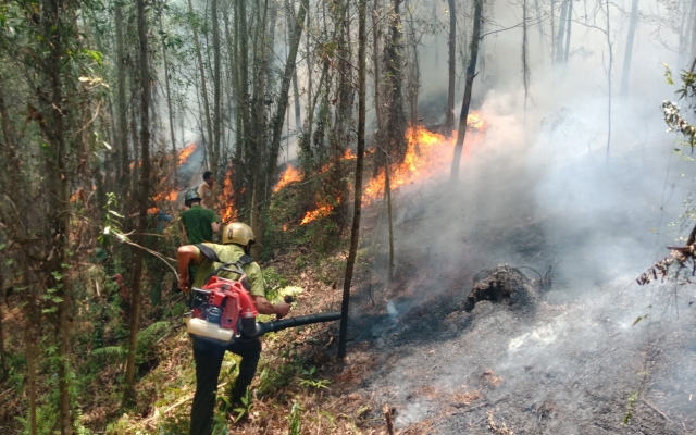 Hà Tĩnh: Hàng trăm người nỗ lực khống chế đám cháy rừng trên núi Nầm