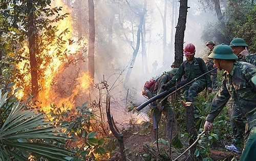 Gửi những người lính cứu rừng trong cuộc chiến với "quỷ lửa"