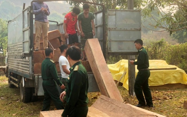 Kon Tum: Phát hiện nhiều bãi tập kết gỗ lậu khu vực biên giới