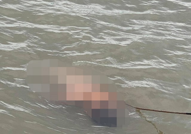 Hải Phòng: Bàng hoàng phát hiện thi thể bé trai nổi trên sông Cấm