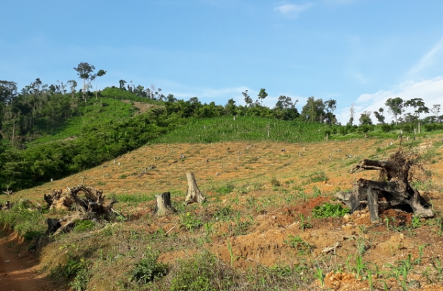 Đắk Lắk: Điểm nóng về phá rừng ở huyện Ea Kar hé lộ nhiều dấu hiệu khuất tất