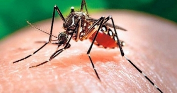 Đắk Lắk: Ghi nhận thêm 1 trường hợp tử vong do sốt xuất huyết