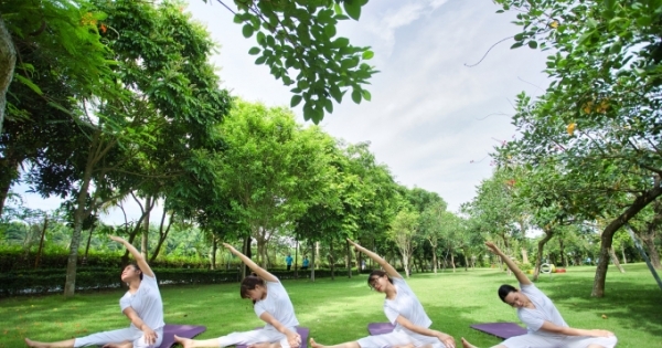 Trải nghiệm Yoga khác biệt tại những khu nghỉ dưỡng hàng đầu Việt Nam