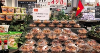 Bắc Giang: Mở rộng và khẳng định vị thế của trái vải thiều tại các thị trường lớn