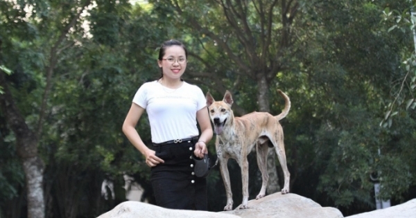 Chú chó Phú Quốc thuần chủng đắt nhất Việt Nam từ trước đến nay