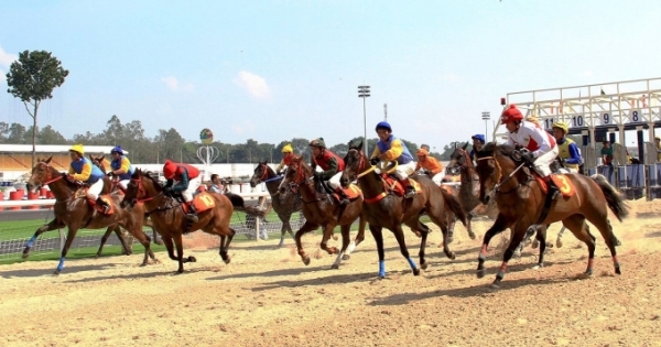 Trường đua ngựa gần 10.000 tỷ đồng ở Hà Nội lại lỡ hẹn