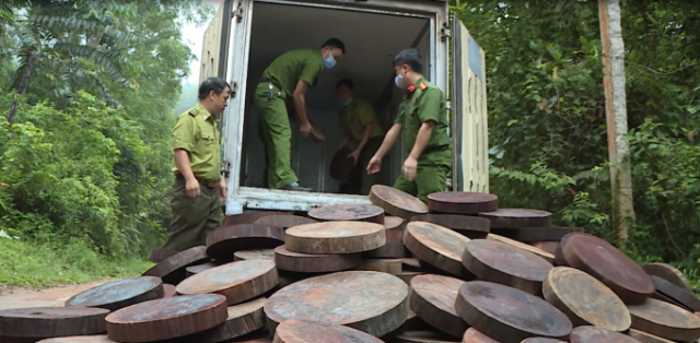 Hà Giang: Chặn đứng xe ô tô tải chở 278 khúc gỗ nghiến dạng thớt đi tiêu thụ