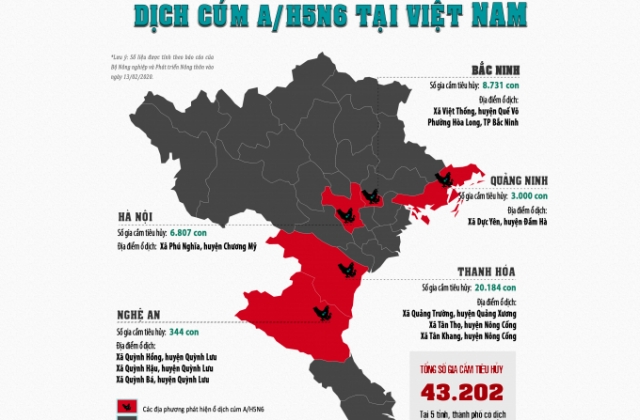 Infographics - Dịch cúm gia cầm A/H5N6 xuất hiện tại 5 tỉnh, thành phố của Việt Nam