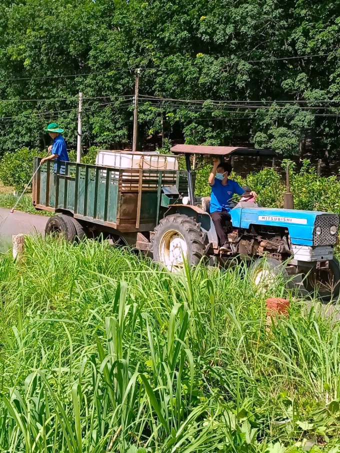 ĐVTN xã Tân Thành xịt thuốc diệt cỏ thuê để góp quỹ phòng chống dịch Covid-19 tại địa phương