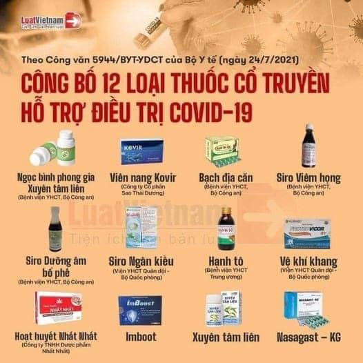 12 loại thuốc cổ truyền được ban hành kèm theo Công văn 5944/BYT-YDCT. Ảnh Luật Việt Nam