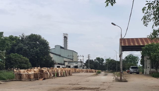 Nghệ An: Sản xuất gỗ bóc trái phép trong nhà máy tinh bột sắn Intimex