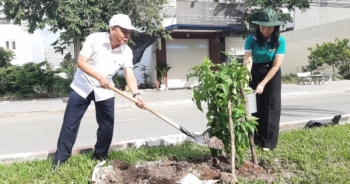 Thị xã Phú Mỹ phát động trồng cây xanh, chỉnh trang đô thị