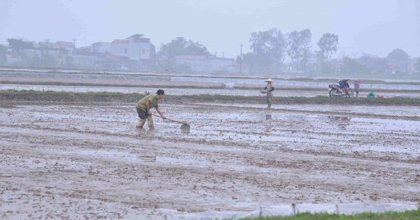 Một huyện ở Nam Định cấp sai sổ đỏ, giao đất đấu giá chậm quy định